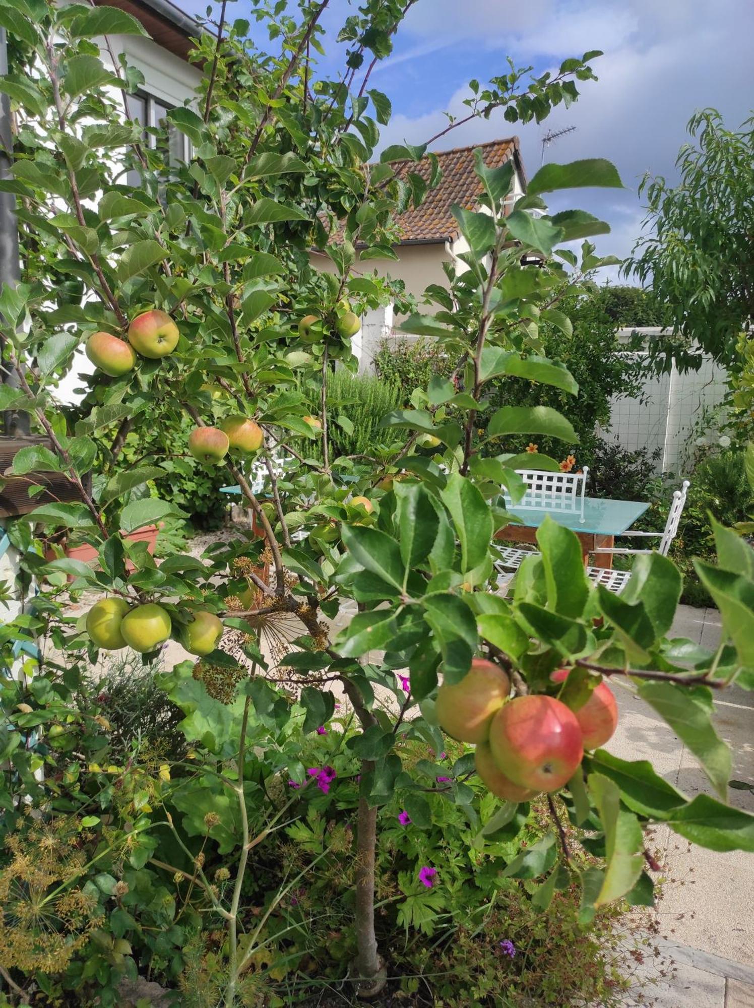 Vacances 34 Le Crotoy Εξωτερικό φωτογραφία
